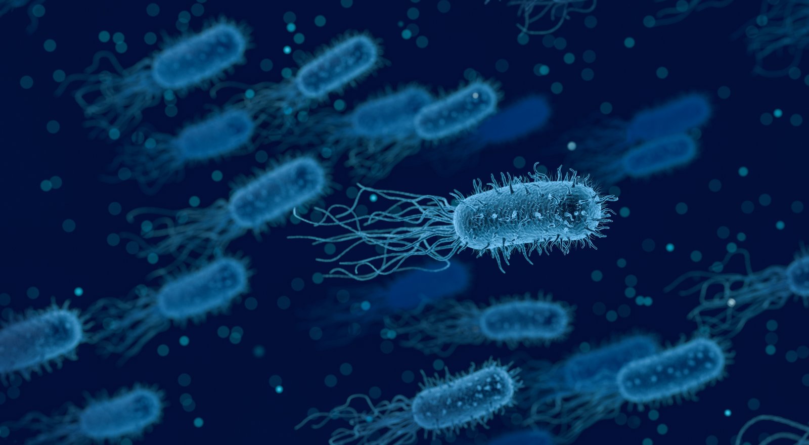 Бактерія як символ венеричних захворювань, що передаються статевим шляхом